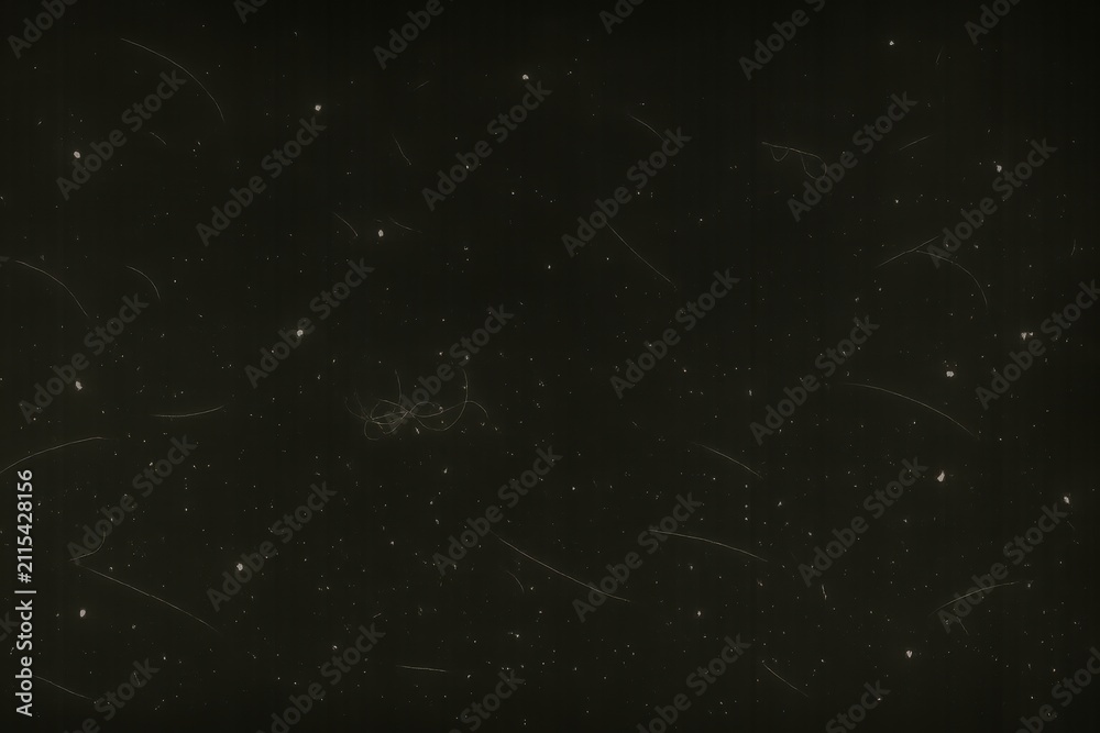 Fototapeta premium Starry Night Sky with Distant Celestial Bodies and Cosmic Dust.