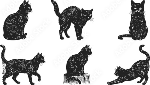 Vintage halloween engraving of black cats in various poses against a white backdrop creating a spooky atmosphere