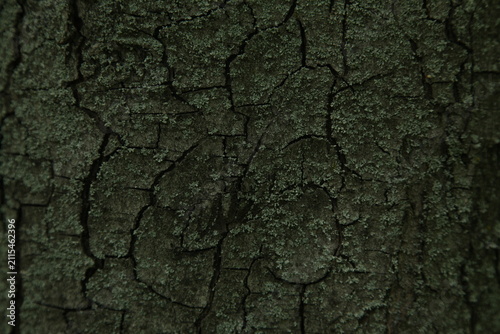 Dark Cracked Surface Texture