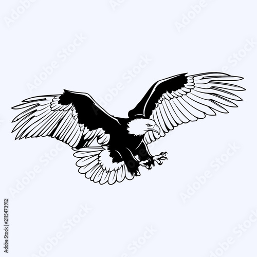 Bald Eagle Landing Vector Illustration Majestic Bird of Prey with Spread Wings Wildlife Raptor Isolated