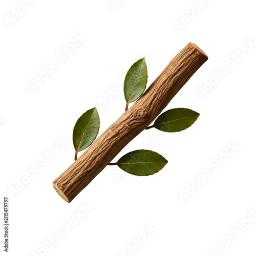 Natural Aromatic Sandalwood Stick with Fresh Green Leaves Isolated on Transparent Background for Wellness