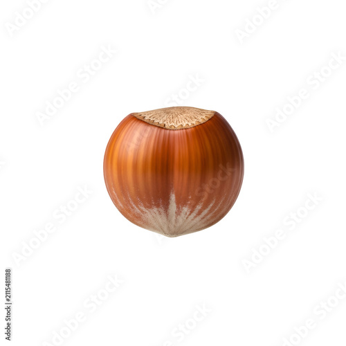 Single Whole Hazelnut Isolated on a Solid Transparent Background for Healthy Food and Snack Concepts