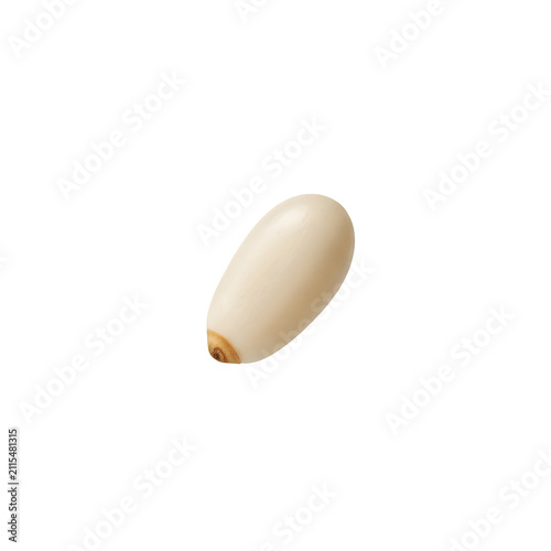 Macro Shot of a Single Raw Shelled Pine Nut Kernel Isolated on Plain Transparent Background, Healthy Snack
