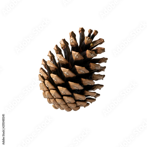 Single Brown Pine Cone Isolated on Transparent Background with Detailed Texture for Christmas Decoration