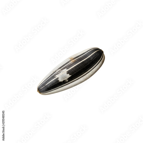 Single striped sunflower seed isolated on transparent background, organic healthy snack macro close-up