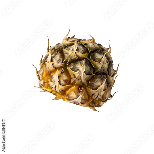 Macro Detail of Ripe Pineapple Skin Texture with Sharp Spikes Isolated on Solid Transparent Background
