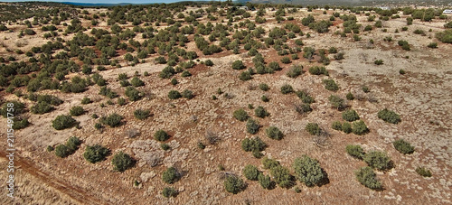 field of dry grass