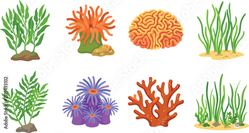 Professional Vector Illustration Set of Marine Life Including Colorful Corals Seaweed and Sea Anemones for Underwater Projects