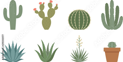 Obraz na plátně Cactus and Succulent Vector Icon Set Featuring Saguaro Prickly Pear with Pink Fl