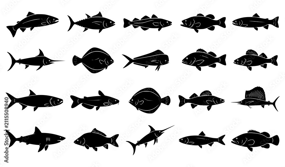Obraz premium Set of Fish Silhouettes Fishing Theme Vector Illustration Collection
