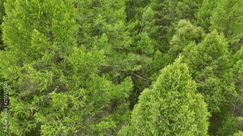 테를지, 국립공원, 몽골, 대자연, 숲, 풍경, 산, 나무, Terelj, Mongolia, Great Outdoors, Forest, Landscape, Mountains