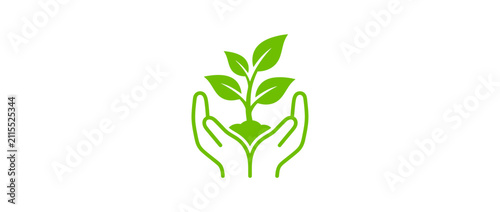 Bild auf Leinwand Hands nurturing a green plant sprout, eco growth concept