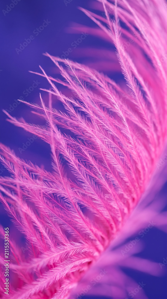 Obraz premium Soft Pink Feathered Grass Blossoms Against Vibrant Purple Sky Background Natural Beauty