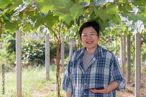 Cuadro en lienzo Smiling woman holding tablet vineyard checking grape cultivation farm management