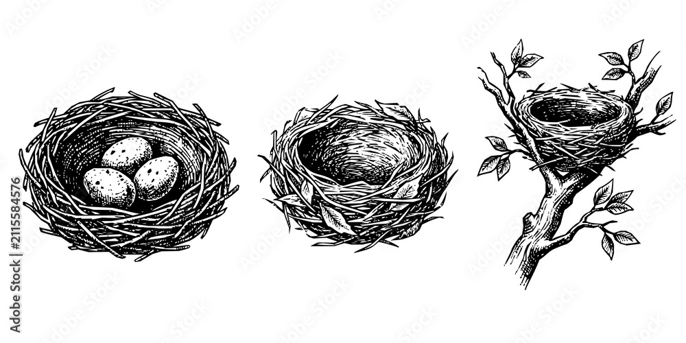 Obraz premium Hand drawn bird nests collection in rustic engraving style with engraving