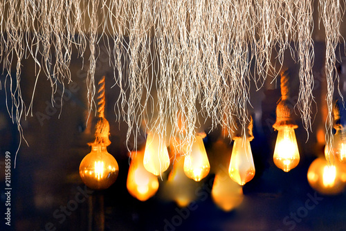 Vintage Hanging Edison Light Bulbs with Decorative Roots and Warm Bokeh