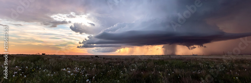 фотографія Impacts of Climate Change