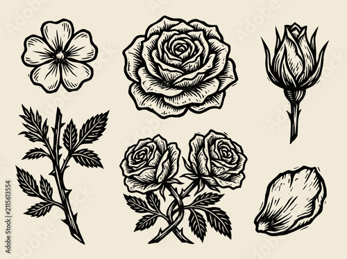 Linocut rose illustration set with bloom and bud on cream background, minimalist woodblock flower design