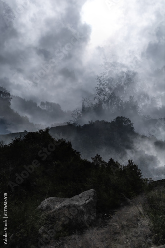 Moody double exposure forest landscape with dramatic storm clouds and mist