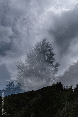 Moody double exposure forest landscape with dramatic storm clouds and mist