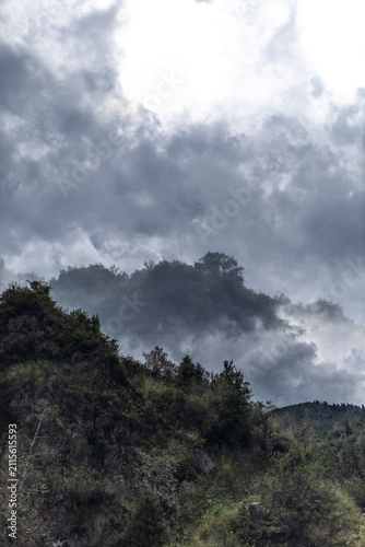 Moody double exposure forest landscape with dramatic storm clouds and mist