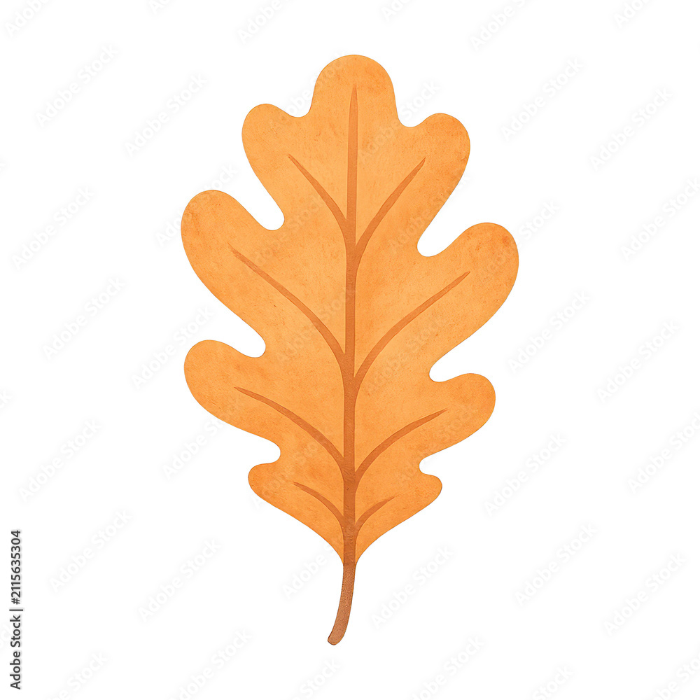 Fototapeta premium PNG Illustrated autumn oak leaf design.