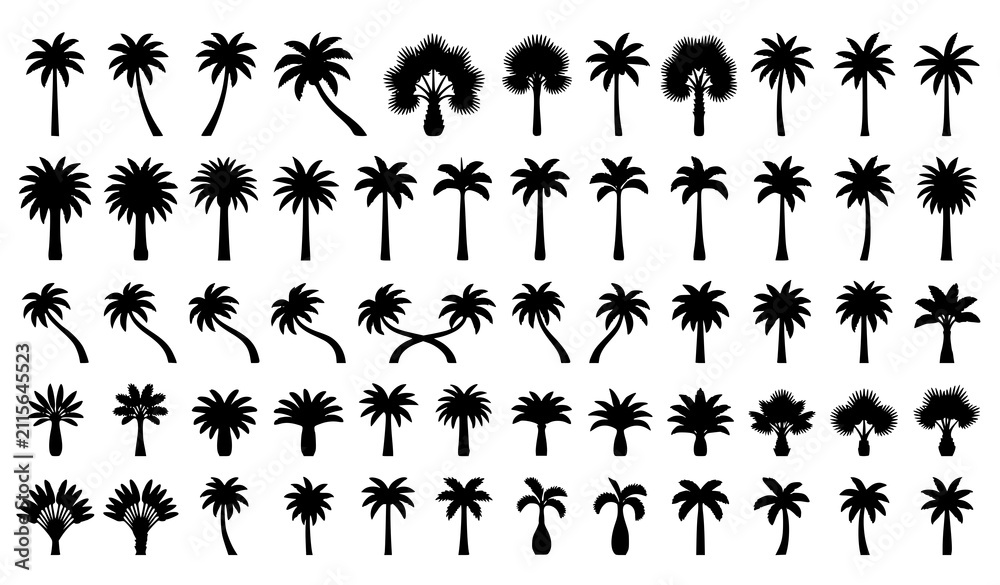 Fototapeta premium Elegant Palm Tree Silhouette Pack with Tropical Island Trees Flat Vector Illustration