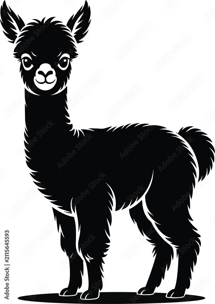 Fototapeta premium Black and white illustration of a cute alpaca