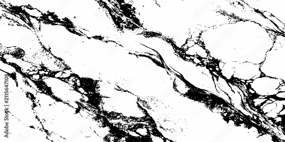 Fototapeta premium Luxury Black and White Marble Texture Background with Natural Stone Veins High Resolution