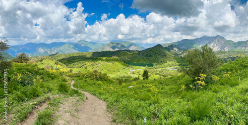 Canvas Print panorama of mountains in summer