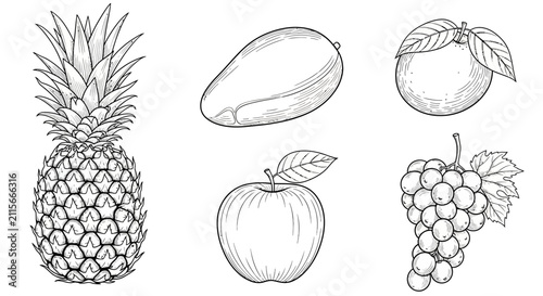 Detailed line drawings of five fresh fruits with drawings pineapple mango mango apple grapes black white line line art illustration healthy with produce