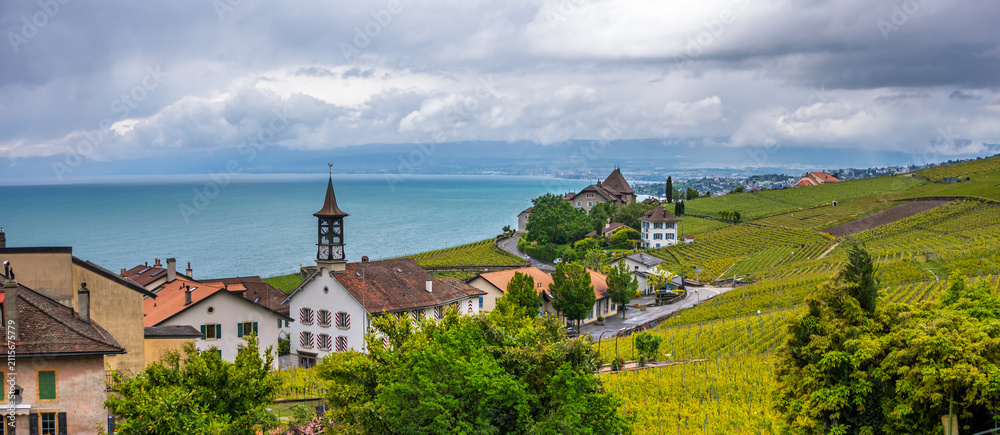 Naklejka premium Lavaux vineyard terraces overlooking Lake Geneva in Switzerland