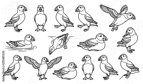Fotografie Cute Cartoon Puffin Bird Vector Illustration Set Featuring Various Poses Includi