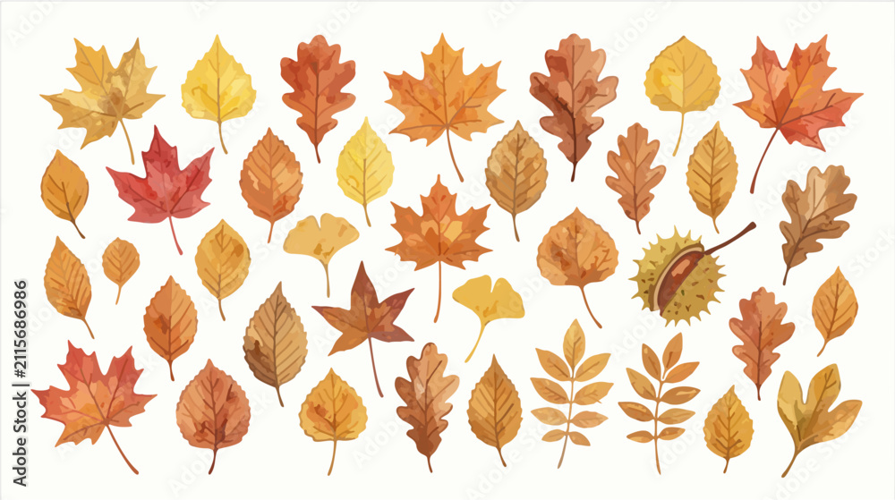 Fototapeta premium Beautiful collection of detailed autumn leaves in vibrant shades of orange red and gold isolated on a clean white background