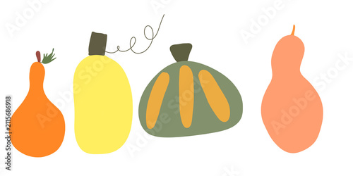 Hand drawn autumn pumpkins and gourds vector illustration set  isolated on transparent or white background, png