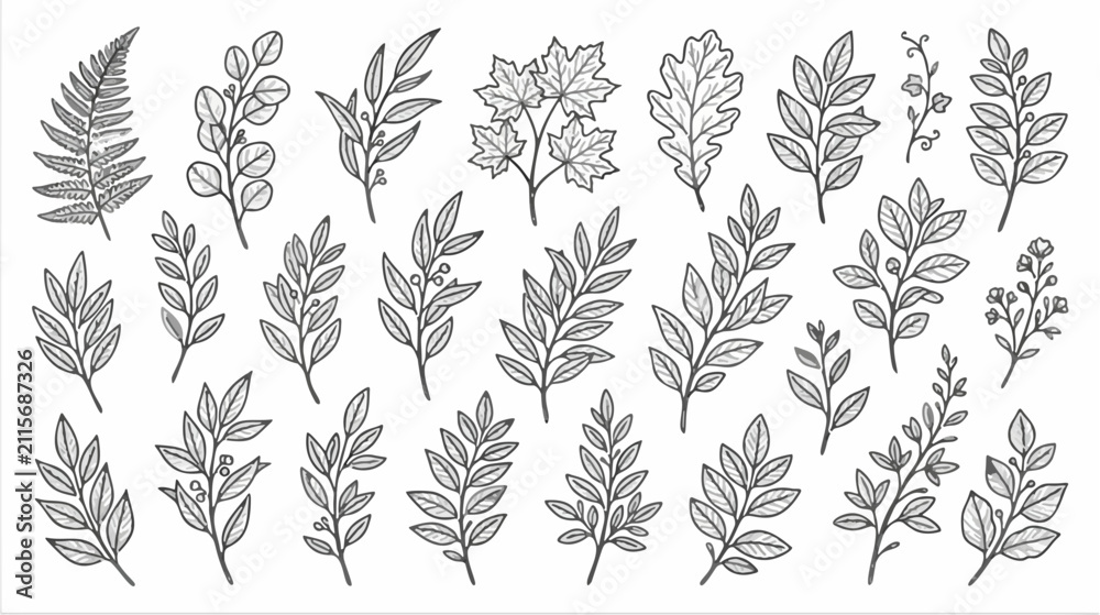 Fototapeta premium Hand drawn botanical leaf line art set featuring autumn leaves, oak, maple and fern branches for vintage nature floral outline design