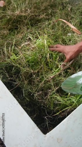 Pile of organic waste ready for composting, including food scraps and natural biodegradable materials.