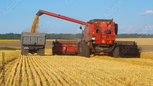 Foto Combine harvester harvesting ripe wheat and unloading threshed grain into a truck in the field