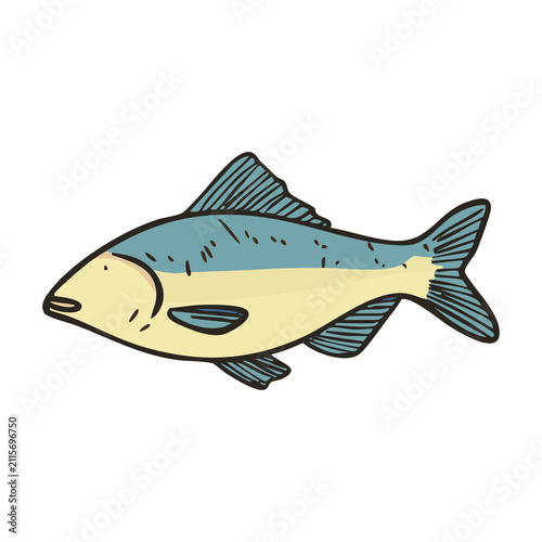 Canvastavla Fresh Fish Seafood Food Illustration