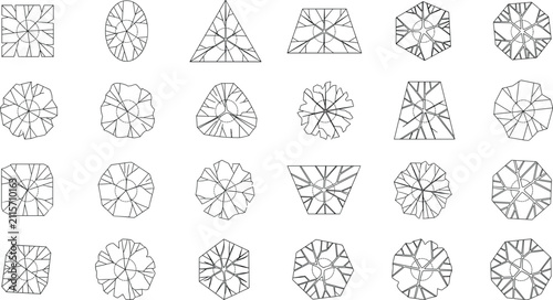 Tree Canopy Top View Symbol Collection for Landscape Architecture CAD and Site Planning