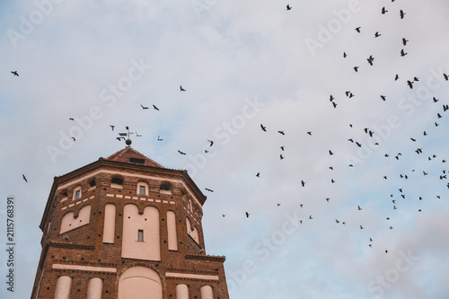 Foto Medieval historic castle tower beneath birds