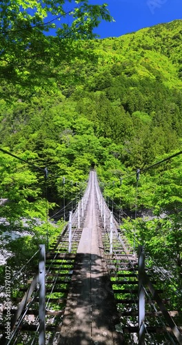 静岡県にある寸又峡の猿並橋と風に揺れる新緑