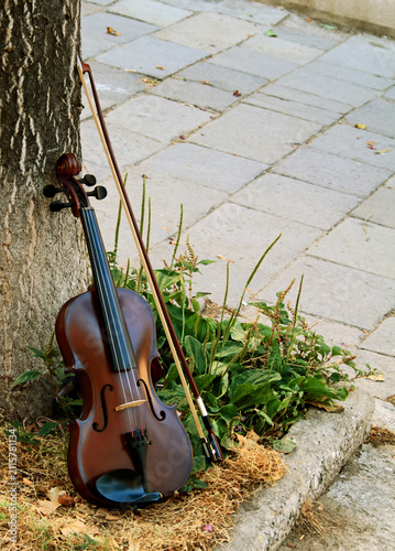 Fotografie Violin leans on tree outdoors.