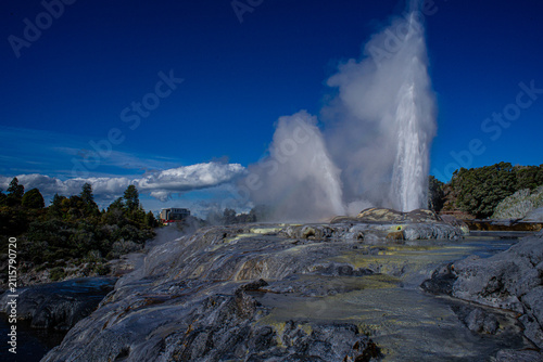 Rotorua Geysir