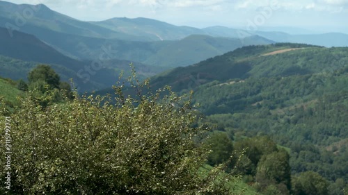 Vista panorámica de un valle de Galicia, con colinas verdes, vegetación abundante y un paisaje natural característico del noroeste de España.