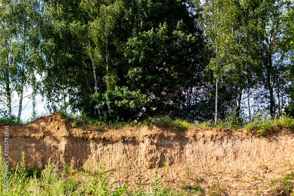 Fototapeta premium Steep sandy cliff edge covered with fresh green grass and tall birch trees growing on top under the bright summer sunlight in a peaceful rural area