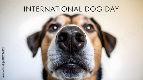 Macro shot of dog nose and mouth with text International Dog Day