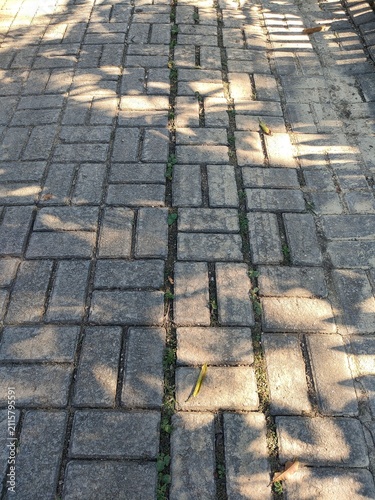 Old Concrete Paving Blocks with Natural Light