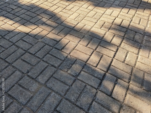 Gray Brick Pavement Texture with Tree Shadows
