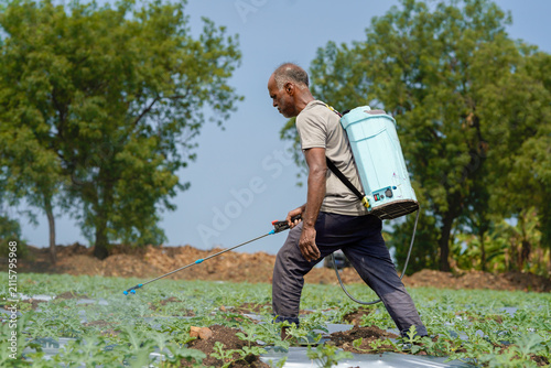Fotografía An Indian farmer sprays pesticide on a watermelon field using a backpack sprayer to protect crops